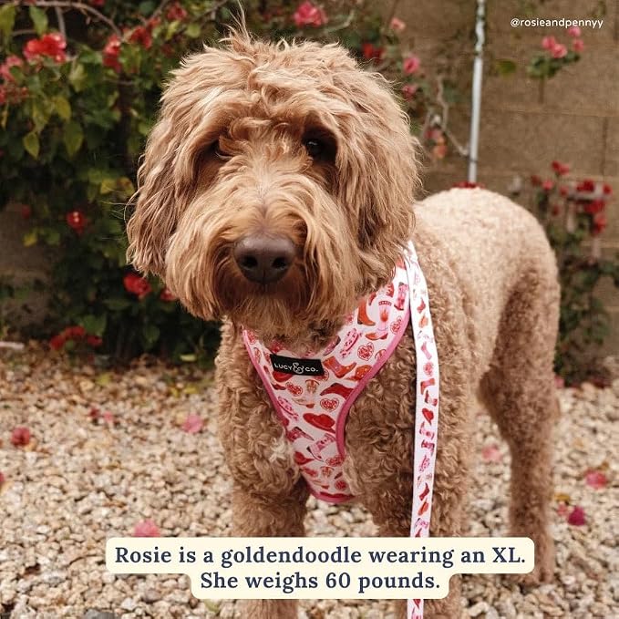 Lucy & Co. Reversible Dog Harness - Water-Repellent Neoprene, Dual-Print Design, Easy Swap Style, Adjustable Comfort Fit - Howdy Honey Reversible Harness - X-Large