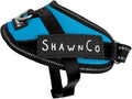 ShawnCo Essential Pro Dog Harness, No-Pull Pet Vest with Removable, Reflective Side Patches, Adjustable and Padded Harness for Small, Medium and Large Dogs (Oceanic Blue, XS)