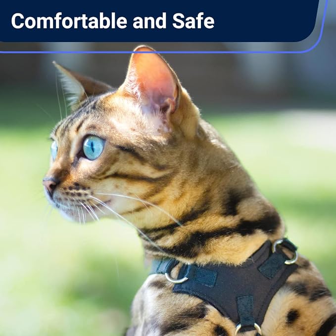 Houdini™ Escape Proof Cat Harness and Leash (V. Leather, XL) | Adjustable walking vest with 6ft lead, premium padded finish, snug secure fit, lightweight for travel and outdoor adventures