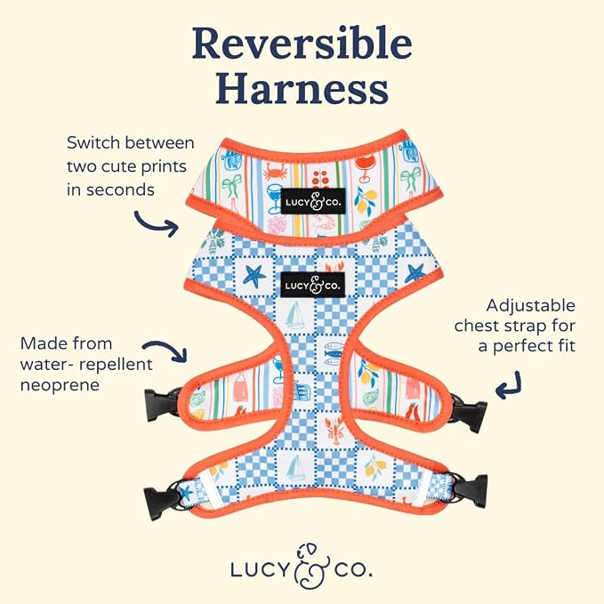 Lucy & Co. Sunny in Sicily Reversible Dog Harness, Adjustable Comfort Fit with Dual Leash Attachments, Large