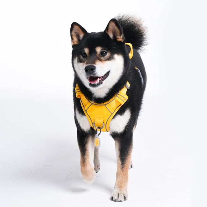 Pawaii No Pull Dog Harness with Pet ID Tag, Reflective Vest | Built for safer walks with a QR Pet ID Tag, front no pull clip, reflective trim, control handle and breathable mesh lining