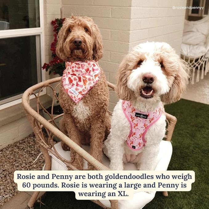 Lucy & Co. Reversible Dog Harness - Water-Repellent Neoprene, Dual-Print Design, Easy Swap Style, Adjustable Comfort Fit - Howdy Honey Reversible Harness - Medium