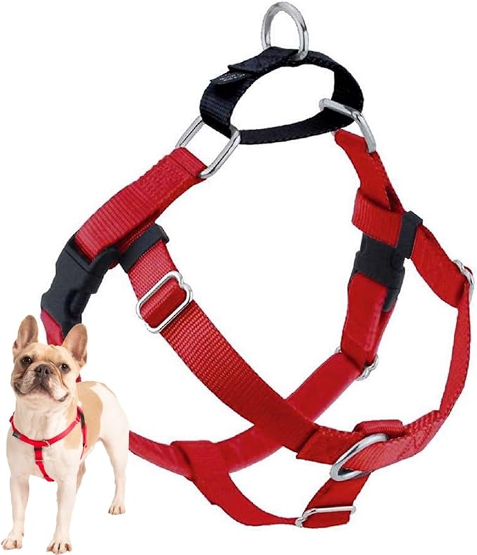 2 Hounds Design Freedom No Pull Dog Harness, 1 inch MD, Red | Discourages Pulling, Comfortable Control Adjustable Dog Harness for Medium Sized Dogs, Made in USA (Leash Not Included)