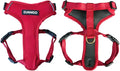 Adventure Dog Harness - Stylish and Durable Small Dog Harness for Outdoor Adventures and Everyday Wear - Red Neoprene Adjustable Harness for Dogs with Reflective Piping, Solid Brass D-Ring