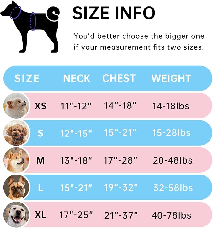 IVY&LANE No Pull Dog Harness for Small Dogs, Dog Vest Harness with Leash, Safety Belt and Storage Strap, Fully Adjustable Harness, 360° Reflective Strip, Soft Handle (Blue, XS)