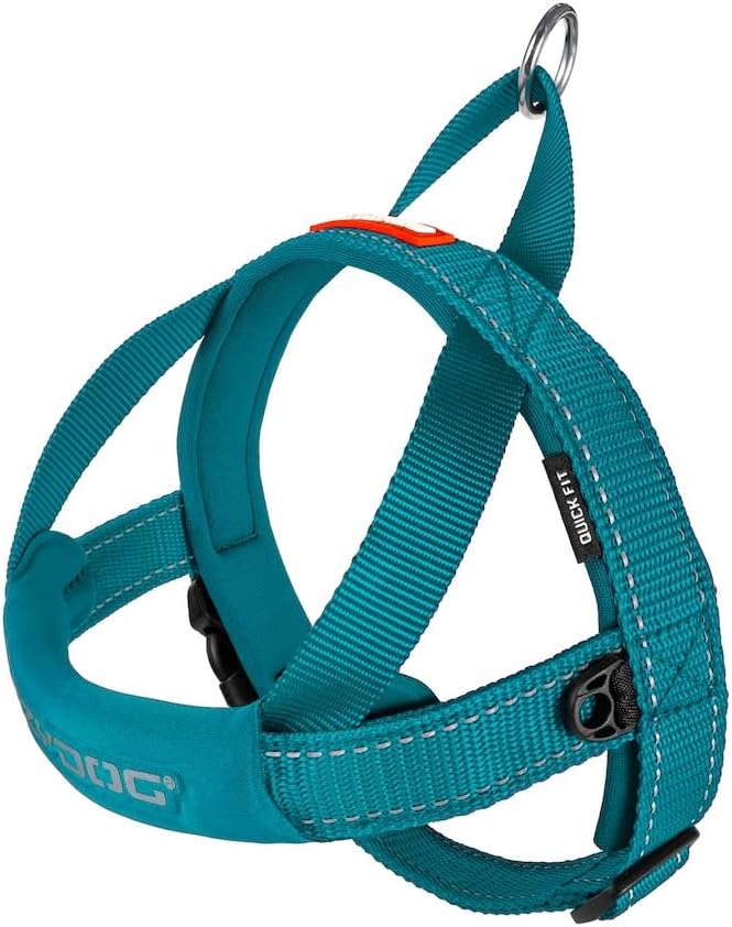 EzyDog Quick Fit Dog Harness, Soft Neoprene Padding - Small, Teal | Fast One-Click Buckle, Adjustable Fit, Strong Reinforced Materials, Reflective Stitching, No Pull Dog Harness, Easy Walking