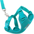 RC Pets Adventure Kitty Cat Harness | Adjustable Airmesh Vest with D-Ring and 6ft Leash for Walking and Travel | Teal, Small