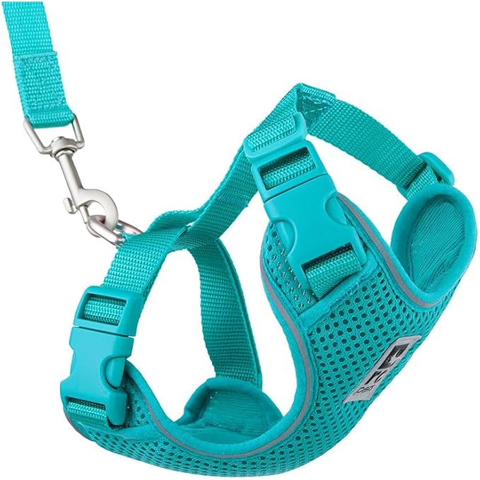 RC Pets Adventure Kitty Cat Harness | Adjustable Airmesh Vest with D-Ring and 6ft Leash for Walking and Travel | Teal, Small