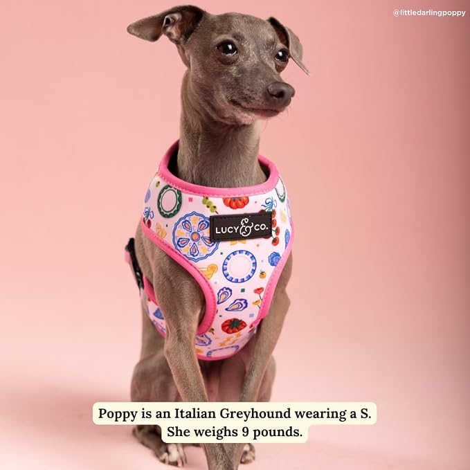 Lucy & Co. Dolce Vita Reversible Dog Harness, Adjustable Comfort Fit with Dual Leash Attachments, Small
