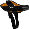 ShawnCo Essential Dog Harness, No-Pull Pet Vest (Sunset Orange,M) | 3 Leash Clips, Easy On, No-Choke, Reflective, Adjustable Fit, Padded Comfort, Control Handle, For Small, Medium & Large Dogs