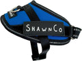 ShawnCo Essential Pro Dog Harness, No-Pull Pet Vest with Removable, Reflective Side Patches, Adjustable and Padded Harness for Small, Medium and Large Dogs (Electric Blue, XS)
