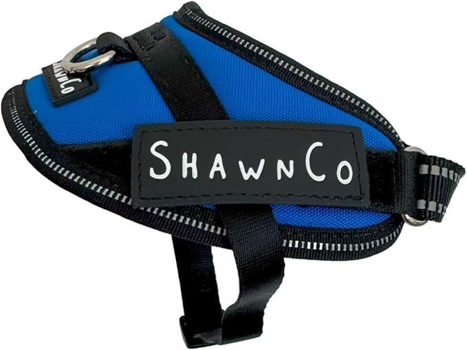 ShawnCo Essential Pro Dog Harness, No-Pull Pet Vest with Removable, Reflective Side Patches, Adjustable and Padded Harness for Small, Medium and Large Dogs (Electric Blue, XS)