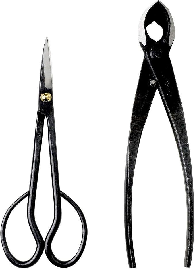 Wazakura Japanese Bonsai Tool Kit Made in Japan - Satsuki Scissors 7inch(180mm) + Concave Branch Cutter 8inch(200mm) Gift Box Set