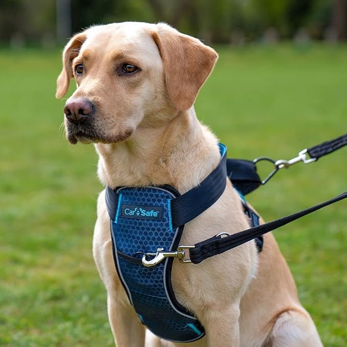 CarSafe Crash Tested Dog Safety Harness | Size L | Crash Tested to 32Kg/70lbs, Safely Secure Dog in the Car, Comfortable and Padded Design, for Toy, Small, Medium & Large Dogs