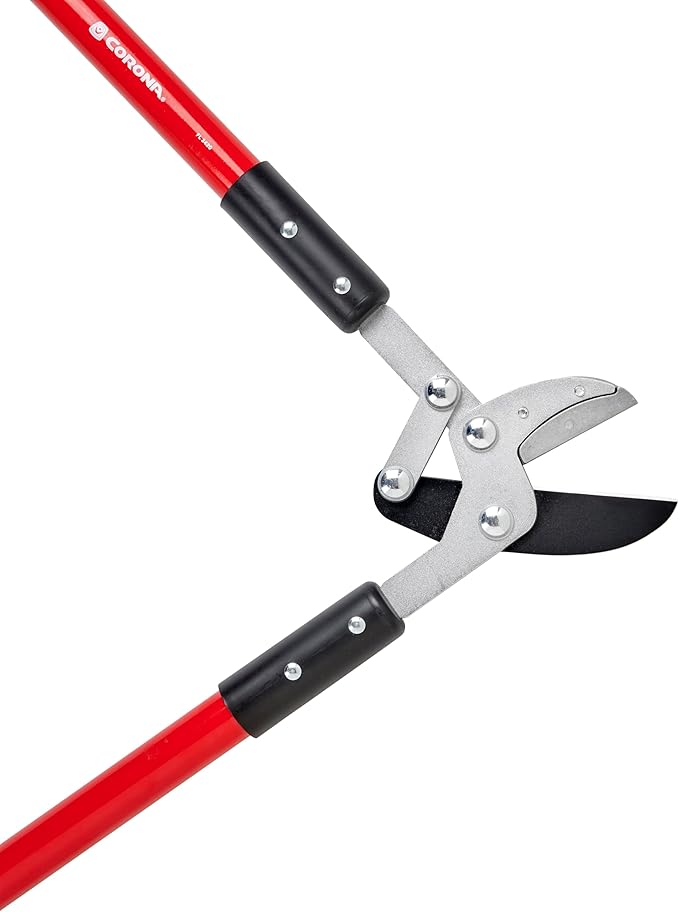 Corona Tools Compound Action Anvil Lopper – 32-Inch Heavy-Duty Branch Cutter for Tree Trimming & Pruning, Garden Loppers for Thick Branches