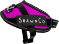 ShawnCo Essential Pro Dog Harness, No-Pull Pet Vest with Removable, Reflective Side Patches, Adjustable and Padded Harness for Small, Medium and Large Dogs (Orchid, XS)