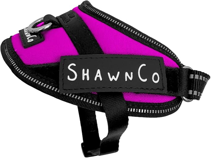 ShawnCo Essential Pro Dog Harness, No-Pull Pet Vest with Removable, Reflective Side Patches, Adjustable and Padded Harness for Small, Medium and Large Dogs (Orchid, XS)