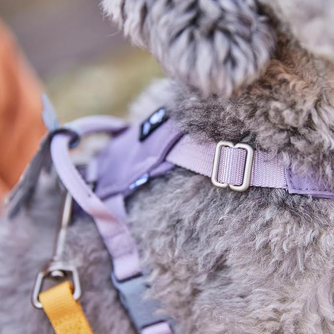 Hurtta Seeker Harness, Honey, 22-28 in