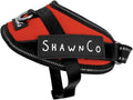 ShawnCo Essential Pro Dog Harness, No-Pull Pet Vest with Removable, Reflective Side Patches, Adjustable and Padded Harness for Small, Medium and Large Dogs (Mustang Red, XS)