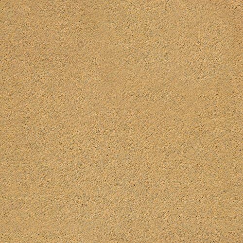 Dura-Gold Pro Series Rigid Longboard Hand Sanding File Block with Both Hook & Loop Backing and PSA Backing Conversion Adapter Pad with 80 Grit Gold PSA Longboard Sandpaper