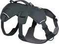 Ruffwear, Web Master, Multi-Use Support Dog Harness, Hiking and Trail Running, Service and Working, Everyday Wear, Basalt Gray, Small