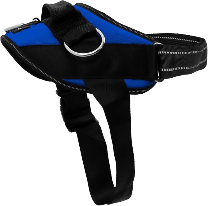 ShawnCo Essential Dog Harness, No-Pull Pet Vest (Electric Blue,XL) | 3 Leash Clips, Easy On, No-Choke, Reflective, Adjustable Fit, Padded Comfort, Control Handle, For Small, Medium & Large Dogs