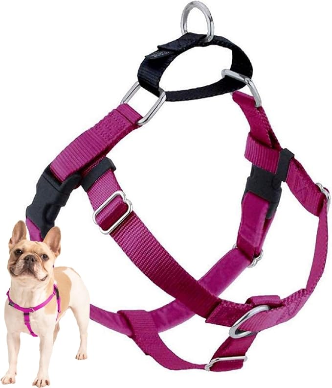 2 Hounds Design Freedom No Pull Dog Harness, 1 inch XXL, Raspberry | Discourages Pulling, Comfortable Control Adjustable Dog Harness for XXL Sized Dogs, Made in USA (Leash Not Included)