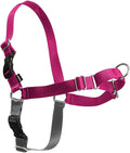 PetSafe Easy Walk Harness, No Pull Dog Harness, Raspberry, Large | Patented Martingale Loop Gives Gradual Shoulder Pressure to Stop Pulling, Front-Chest Leash Clip Prevents Gagging