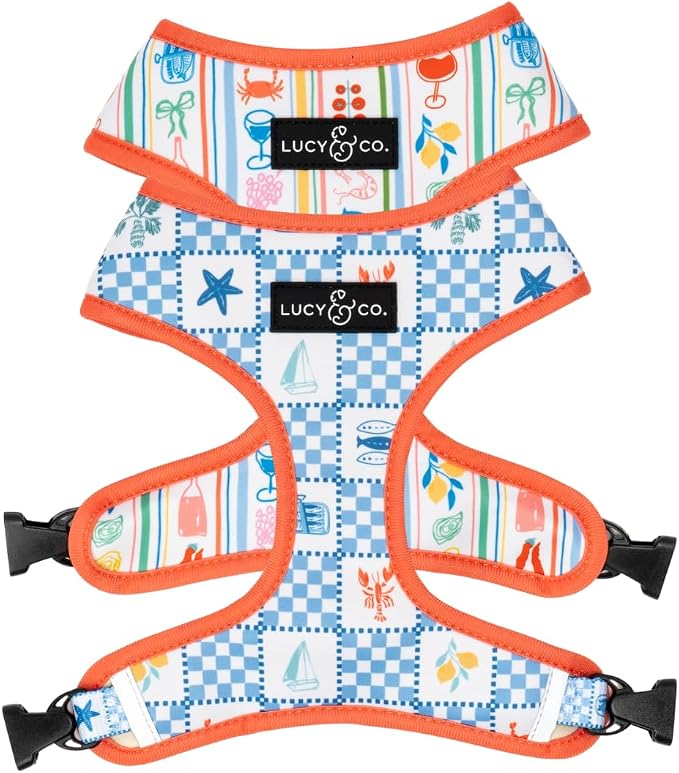 Lucy & Co. Sunny in Sicily Reversible Dog Harness, Adjustable Comfort Fit with Dual Leash Attachments, Small