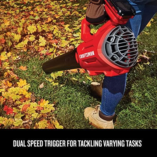 CRAFTSMAN 20V MAX WEEDWACKER String Trimmer and Leaf Blower Combo Kit, Battery and Charger Included (CMCK197M1)