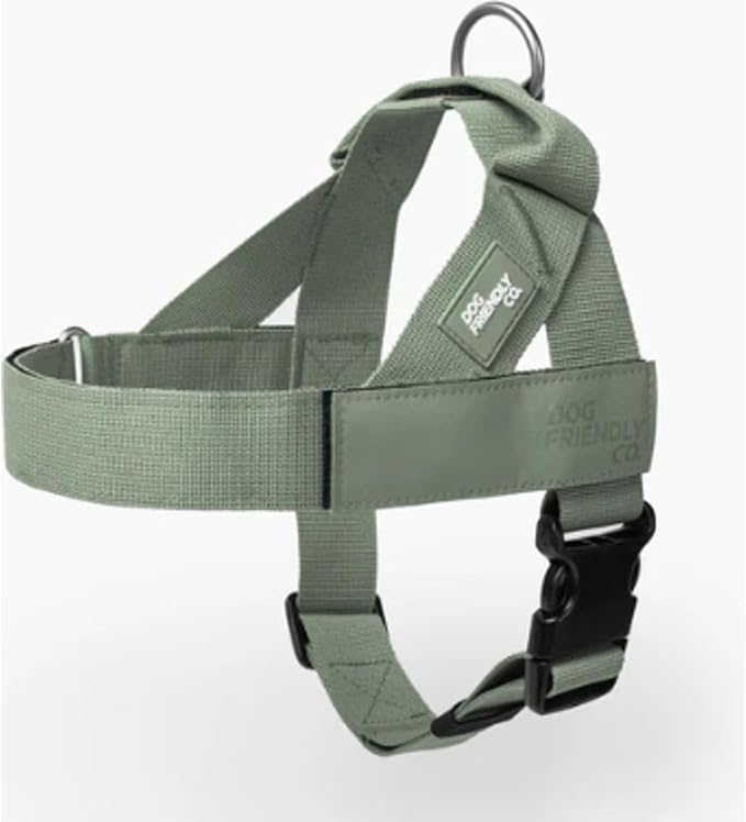 Dog Friendly Co. Dog Harness for Small Dogs, Adjustable (Khaki, Small) | One Click Buckle, Chafe Resistant Webbing, Adjustable Neck & Chest, and Heavy Duty D-Ring, Sturdy Comfortable and Easy to Use