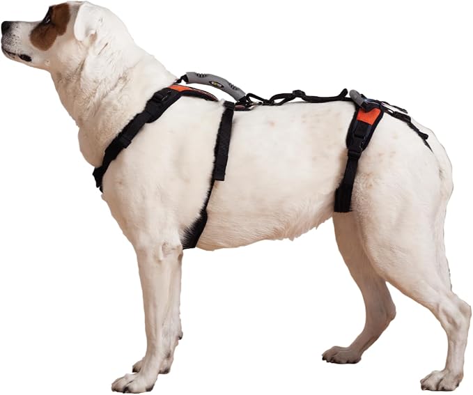 Help 'Em Up® - Dog Lift Harness│ Adjustable Lifting Harness for Dogs │ Full Body Support, Rear Leg Support (Conventional, Medium, 45-80 lbs)