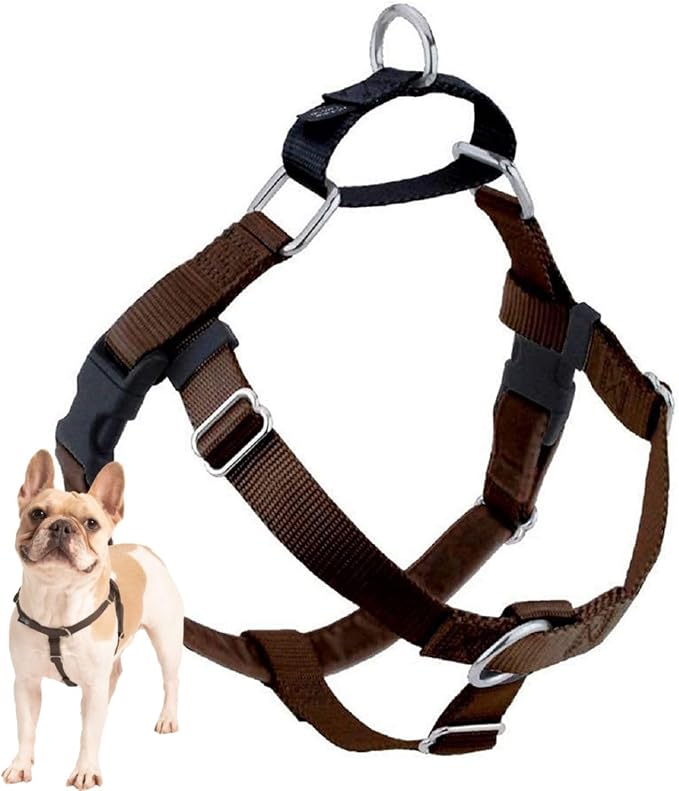 2 Hounds Design Freedom No Pull Dog Harness, 1 inch MD, Brown | Discourages Pulling, Comfortable Control Adjustable Dog Harness for Medium Sized Dogs, Made in USA (Leash Not Included)
