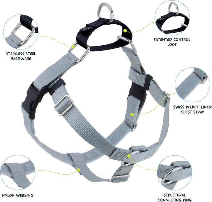 2 Hounds Design Freedom No Pull Dog Harness and Leash, 1" MD, Silver | Promotes Easy Walking & Comfortable Control, Secure Fit, Adjustable Harness and Leash Set for Medium Sized Dogs, Made in USA