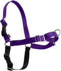 PetSafe Easy Walk Harness, No Pull Dog Harness, Deep Purple, Medium | Patented Martingale Loop Gives Gradual Shoulder Pressure to Stop Pulling, Front-Chest Leash Clip Prevents Gagging
