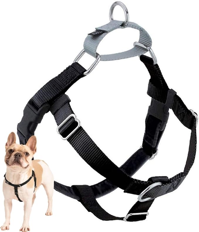 2 Hounds Design Freedom No Pull Dog Harness, 5/8 inch SM, Black | Discourages Pulling, Comfortable Control Adjustable Dog Harness for Small Sized Dogs, Made in USA (Leash Not Included)