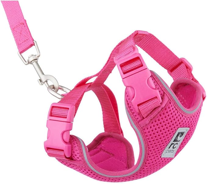 RC Pets Adventure Kitty Harness Includes Adjustable, Airmesh Fabric, 6' Leash and D-Ring Cat Walking Harness | Raspberry, Small