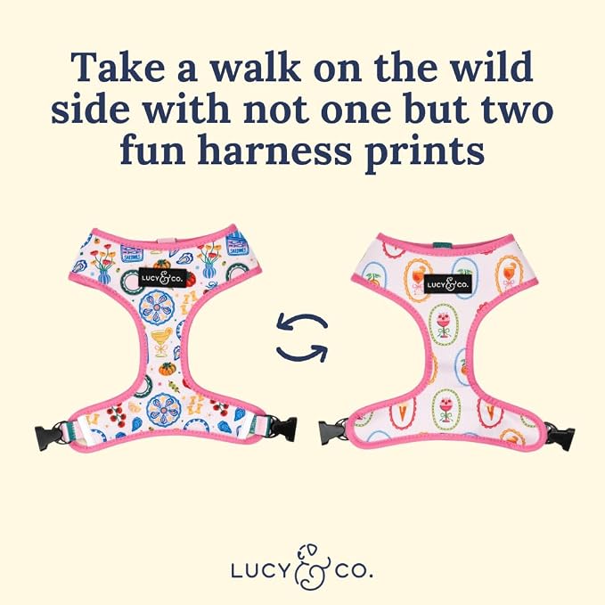 Lucy & Co. Dolce Vita Reversible Dog Harness, Adjustable Comfort Fit with Dual Leash Attachments, Medium