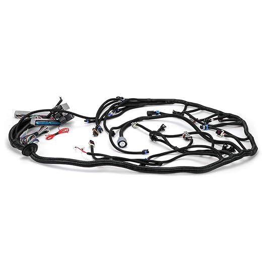 4L60E DBC LS Standalone Wiring Harness Compatible with GM LS1 1999-2006 Vortec Engines 4.8L 5.3L 6.0L Drive by Cable, with 8 Pack Fuel Injector Connector Adapter EV1 Transfer to EV6