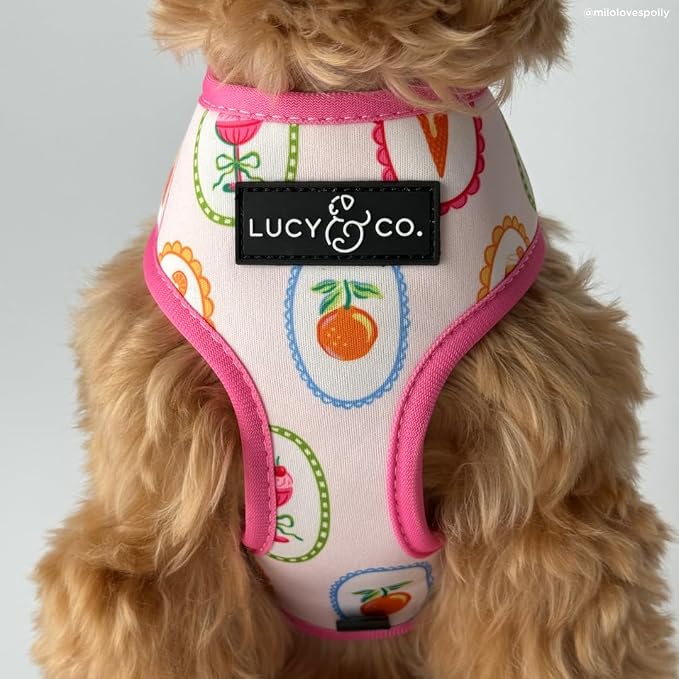 Lucy & Co. Dolce Vita Reversible Dog Harness, Adjustable Comfort Fit with Dual Leash Attachments, Medium