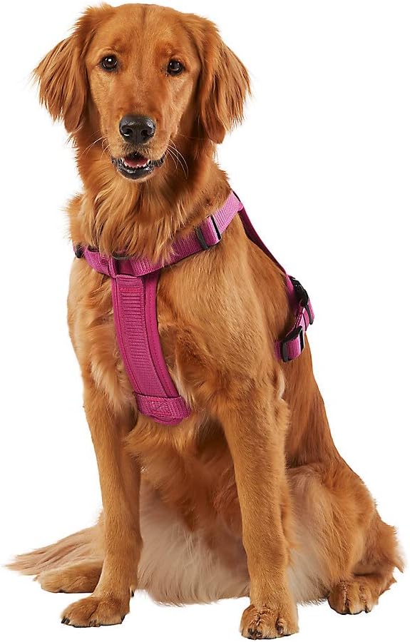 KONG Ultra Durable Waste Bag Harness (Large, Pink)