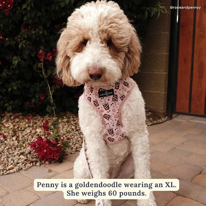 Lucy & Co. Reversible Dog Harness - Water-Repellent Neoprene, Dual-Print Design, Easy Swap Style, Adjustable Comfort Fit - Iced Coffee SZN Reversible Harness - Medium