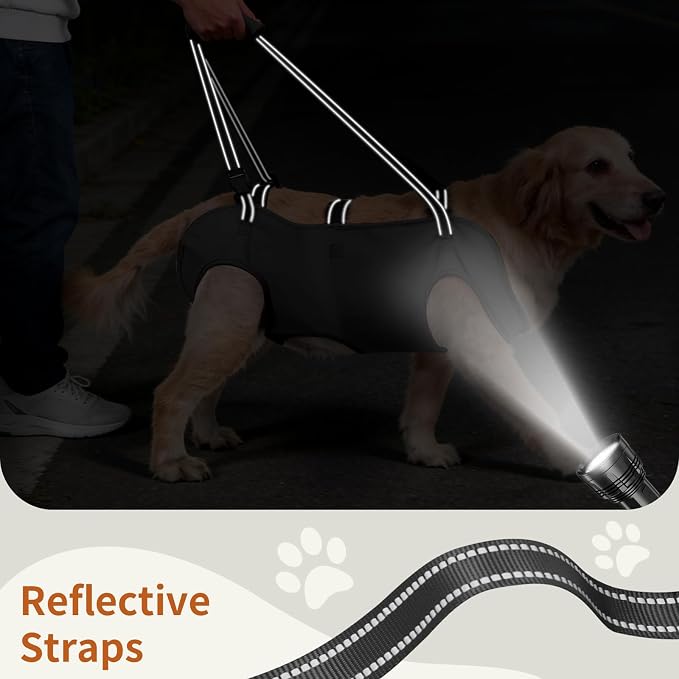 Full Body Dog Lift Harness, Support Senior & Disabled Dogs Walking | Help Up & Down Stairs Grooming, Dog Sling Backpack, Front Hind Leg Joint Injuries, Reflective, Soft Padded Handle | Black, XL
