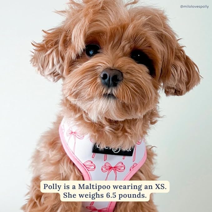 Lucy & Co. Reversible Dog Harness - Water-Repellent Neoprene, Dual-Print Design, Easy Swap Style, Adjustable Comfort Fit - Take a Bow Reversible Harness - X-Small