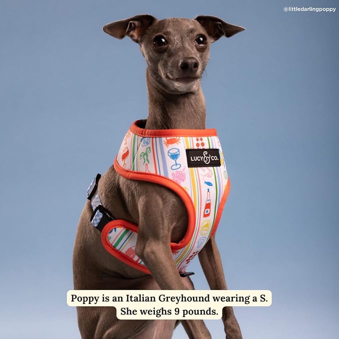 Lucy & Co. Sunny in Sicily Reversible Dog Harness, Adjustable Comfort Fit with Dual Leash Attachments, X-Large