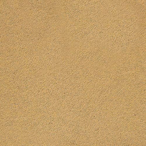 Bundle with TCP Global Wooden Handle Longboard Sander & 80 & 220 Grit Gold - Longboard Continuous Roll 20 Yards Long by 2-3/4" Wide PSA Self Adhesive Stickyback Longboard Sandpaper