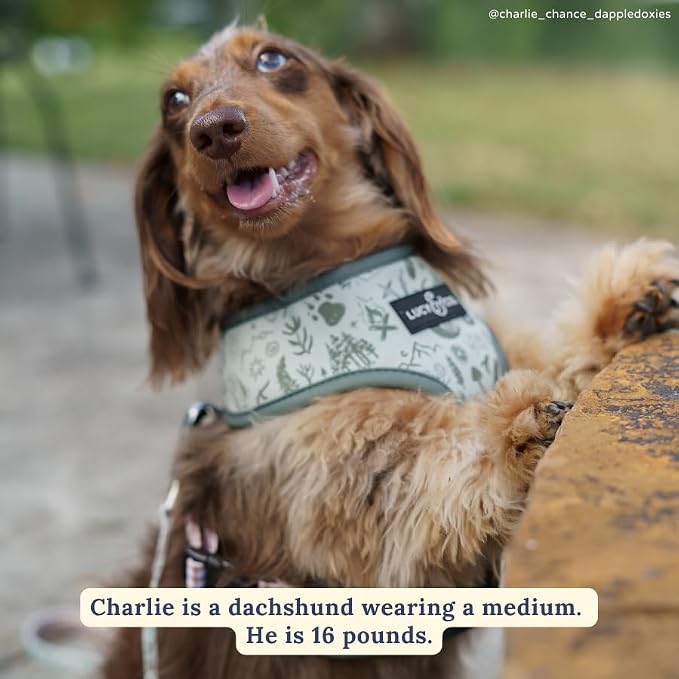 Lucy & Co. Reversible Dog Harness - Water-Repellent Neoprene, Dual-Print Design, Easy Swap Style, Adjustable Comfort Fit - Camp Out Reversible Harness - Large