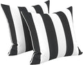 LVTXIII Outdoor Throw Pillows, Decorative Throw Pillows with Inserts, 20"x20" Square Pillows for Bed, Couch, Sofa and Patio Furniture, Set of 2, Cabana Black