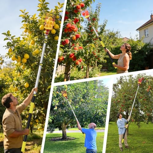 20FT Reach Fruit Picker with Basket, Apple Picking Tool Telescoping Pole, Long-Handle Mango Grabber, Tree Fruit Catcher for Harvesting Lemon Pear Orange Avocado Peach Citrus Grapefruit