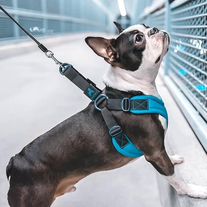 Gooby Escape Free Sport Dog Harness, Choke-Free, Lime, Large | Patented escape-free frame; Reduces choking; 4-point adjustment; Soft neoprene padding; Durable webbed straps
